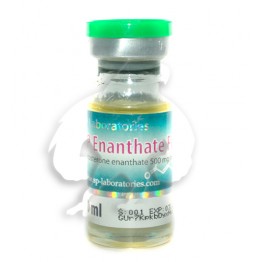 SP Enanthate FORTE (10 ml)